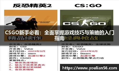 3亿体育官网